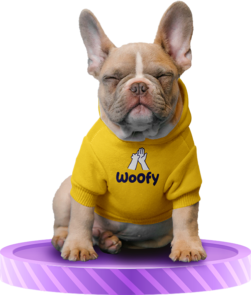 Imagen de fondo de un perro arriba de un podio